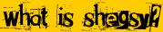 what is shegsy?