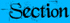 choose a tattoo categorie