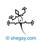 the limit is the sky gecko climbing tattoo design 